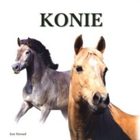 Konie W opisie