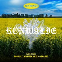 Konwalie Rosalie., Szwed SWD, Kwiatek Haze, Oskar83