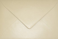 Inne tego producenta