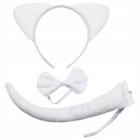 Klienci, których interesował ten produkt, oglądali też