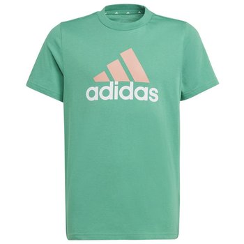 Koszulka adidas Big Logo 2 Tee Jr (kolor Zielony, rozmiar 164 cm) - Adidas