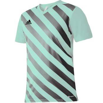 Koszulka adidas Entrada 22 Graphic Jersey Jr (kolor Zielony. Szary/Srebrny, rozmiar 164 cm) - Adidas