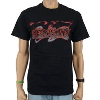 koszulka AEROSMITH - LOGO-S Inna marka