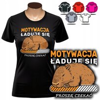 KOSZULKA DAMSKA Z NADRUKIEM T-SHIRT - KAPIBARA MOTYWACJA ŁADUJE SIĘ - 3XL