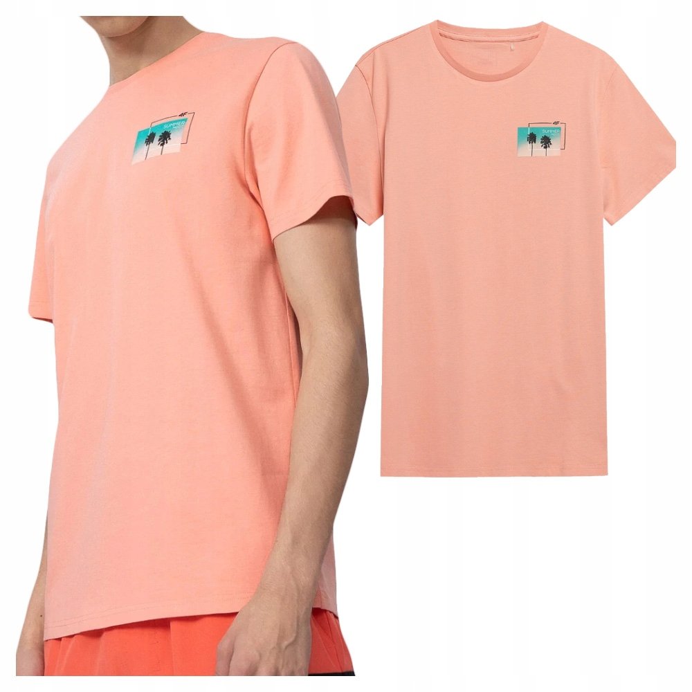 Koszulka Męska 4F Sportowa T-Shirt Bawełna Rozmiar L-Zdjęcie-0