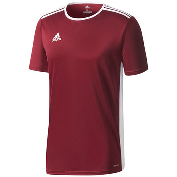 Koszulka męska adidas Entrada 18 Jersey bordowa CD8430 - Adidas