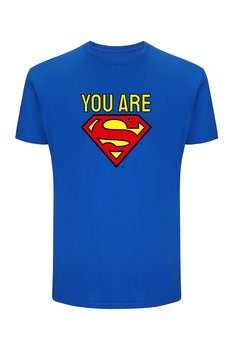 Koszulka męska DC wzór: Superman 060, rozmiar L - Inna marka