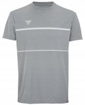 Koszulka męska Tecnifibre Team Tech Tee silver S&nbsp;-&nbsp;Tecnifibre