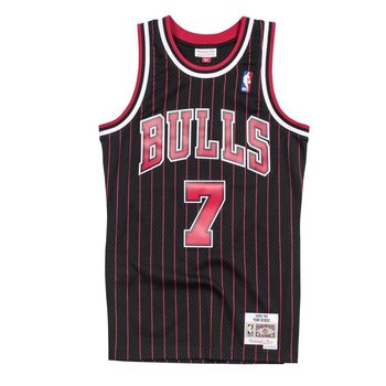 Dennis Rodman Chicago Bulls Alternate Swingman 1995-96 Jersey - Detroit  City Sports