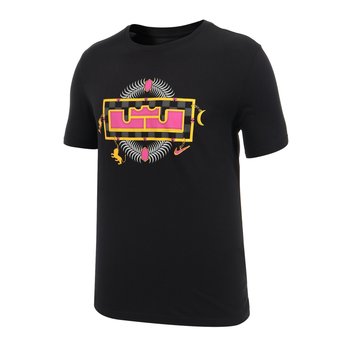 Koszulka Nike LeBron James LBJ Crown Dri-Fit T-Shirt - DN2903-010-L - Nike