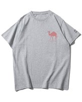 Koszulka oversize Wielbłądzi Humor Śmieszne Zwierzęta Szara XL