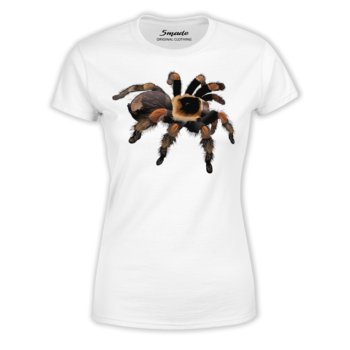 Koszulka pająk Brachypelma hamorii-3XL - 5made