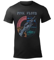 koszulka PINK FLOYD - WISH YOU WERE HERE DISTRESSED-S Inna marka