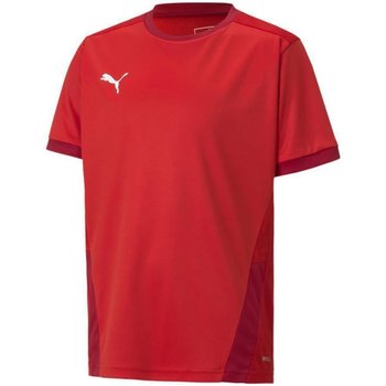 Koszulka Puma teamGOAL 23 Jersey Jr 704160 (kolor Czerwony, rozmiar 116cm) - Puma