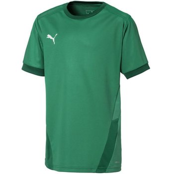 Koszulka Puma teamGOAL 23 Jersey Jr 704160 (kolor Zielony, rozmiar 140cm) - Puma