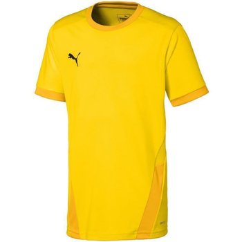 Koszulka Puma teamGOAL 23 Jersey Jr 704160 (kolor Żółty, rozmiar 128cm) - Puma