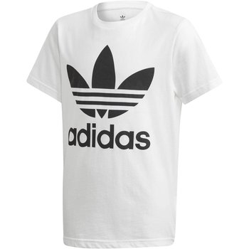 Koszulka unisex adidas Originals TREFOIL biała DV2904-176 - Adidas