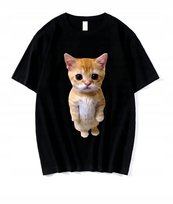 KOSZULKA Z NADRUKIEM MĘSKA ŚMIESZNA T-SHIRT KOT KOTEK MEM r. L
