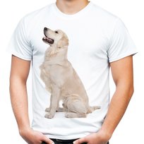 Koszulka z psem Golden Retriever Labradorem męska L JHK