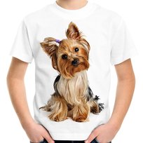 Koszulka z psem Yorkshire terrier York dziecięca