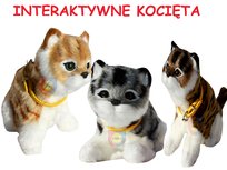 Kotek Interaktywny Z Wbudowaną Fotokomórką