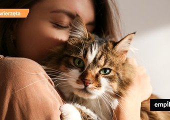Koty dla alergików – czy można myśleć o kocie przy alergii?