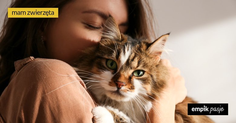 Koty dla alergików – czy można myśleć o kocie przy alergii?