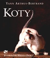 Koty Arthus-Bertrand Yann