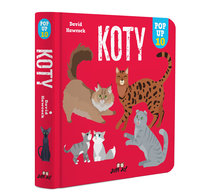 Koty. POP-UP 10 Hawcock David