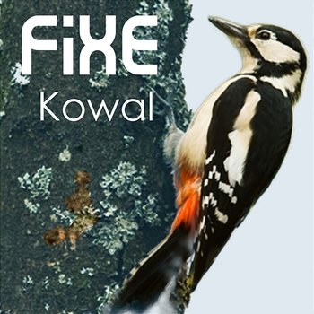 Kowal - Fixe