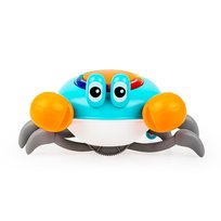 Krab Mądrala Dumel