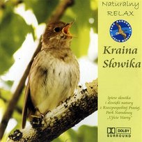Kraina słowika (Ptasi śpiew bez podkładu muzycznego) Odgłosy Natury