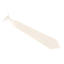 KRAWAT DZIECIĘCY 30CM DLA DZIECI 2-10LAT, KRW-KID-26 - KRW-KID-26 Aleszale