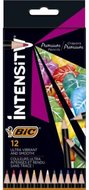 Kredki Ołówkowe Bic Intensity Premium 12 Kolorów Pudełko - BIC