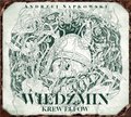 Krew elfów. Wiedźmin - audiobook - Sapkowski Andrzej