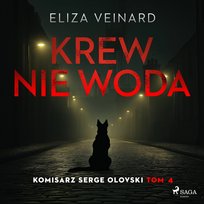 Strefa kryminalna