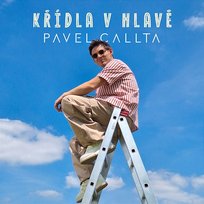 KŘÍDLA V HLAVĚ Pavel Callta