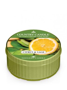 Kringle Candle, Citrus and Sage, świeca zapachowa daylight, 1 knot - Kringle Candle