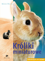Króliki miniaturowe Wegler Monika