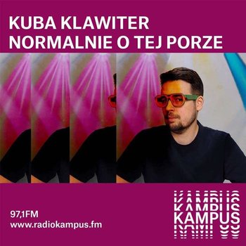 Kuba Klawiter o Centrum Testów - Normalnie o tej porze - podcast - Radio Kampus