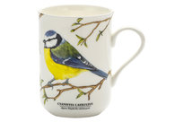 Kubek porcelanowy MODRASZKA/PTAKI POLSKI by Agata Hajdecka 300 ml MCP Marco Polo