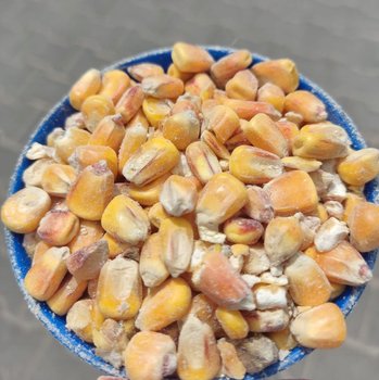 Kukurydza Ziarno Materia� Paszowy dla Drobiu kur zan�ta ziarno 1kg - Inna marka