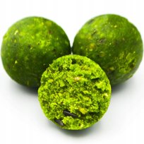 KULKI PROTEINOWE KARPIOWE MASSIVE BAITS ECO BOILIES MULBERRY 18MM 1KG