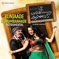 Kunjaade Kurumbanaade Berny-Ignatius