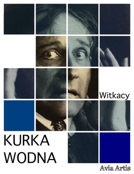 Kurka Wodna - ebook epub - Witkiewicz Stanisław Ignacy