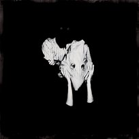 Kveikur Sigur Rós