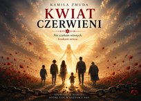 Nowości
