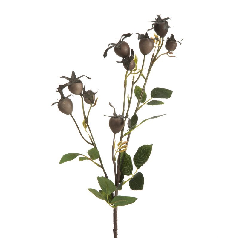 Eurofirany Eurofirany Brązowy Kwiat Dekoracyjny, Natu,