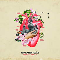 Najczęściej kupowane