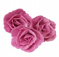 Klienci, których interesował ten produkt, oglądali też